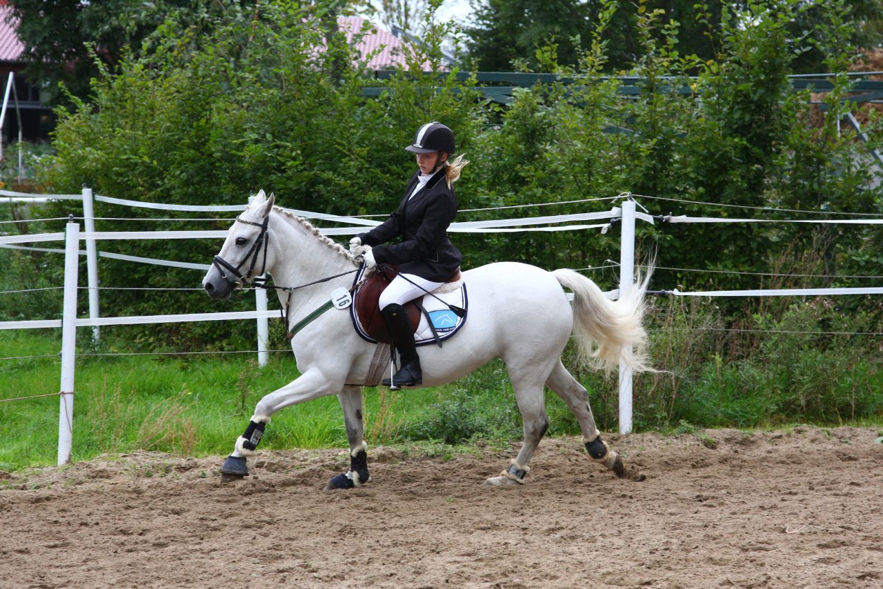 Bild 1196 - WBO-Turnier am 18.9.11